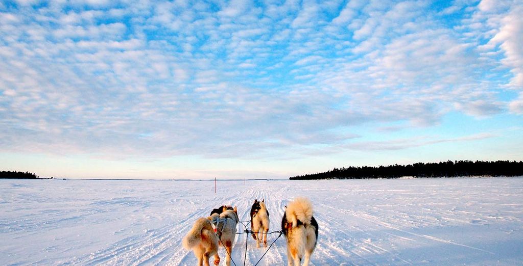 Lapponia Finlandese: Safari con gli Husky, con le Motoslitte e Fattoria delle Renne