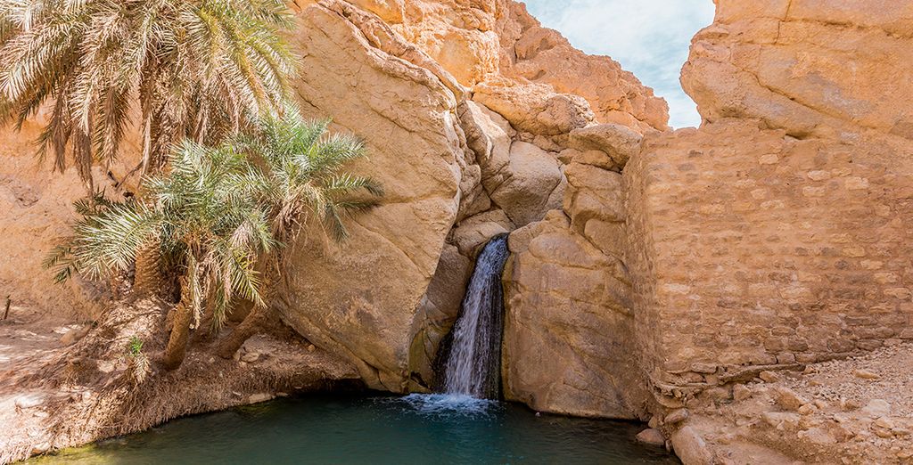 Tour tra spiaggia e deserto