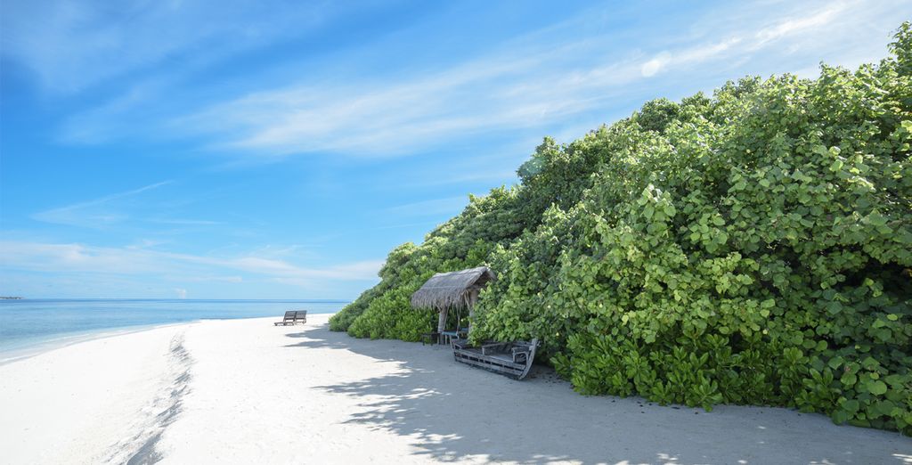 Tour dello Sri Lanka con soggiorno al Makunudu Island 4*