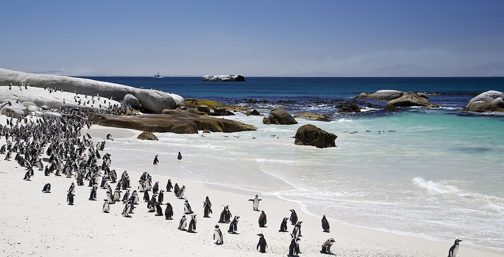 Fly and Drive Sudafrica & Dubai