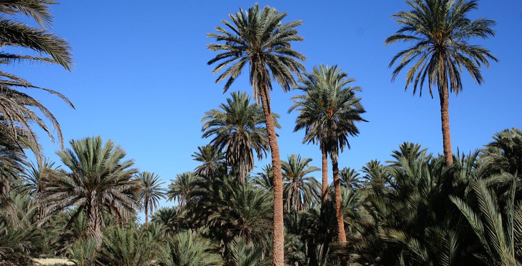 Alla scoperta del Marocco e della terra dei berberi: oceano, riserve naturali, oasi e l'Atlante