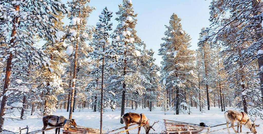 4-Night Tour: Christmas Retreat – Rovaniemi