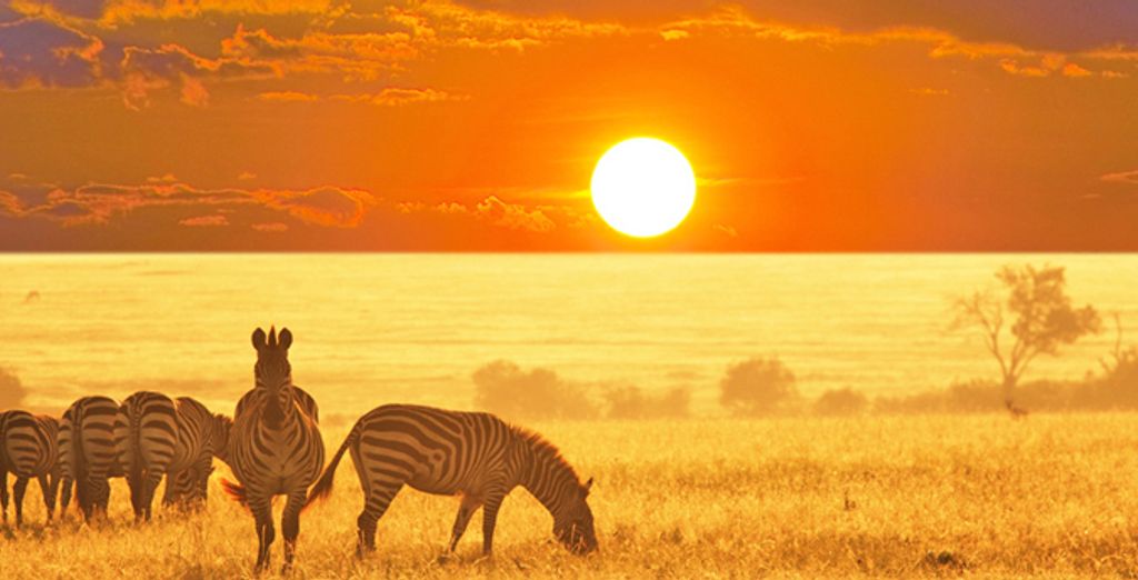 The Best Time to Visit South Africa Voyage Privé