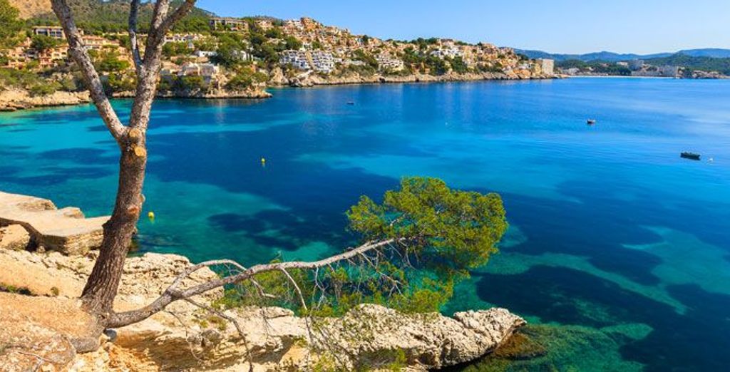 Cheap Holidays to Majorca 2024 Voyage Privé