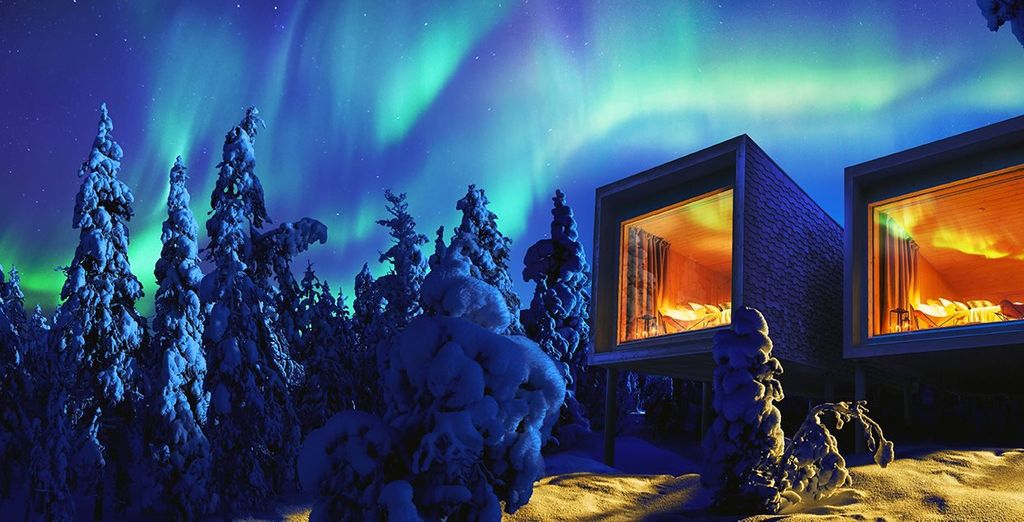 Arctic TreeHouse Hotel 4* & Optional Helsinki Stopover via Overnight Train