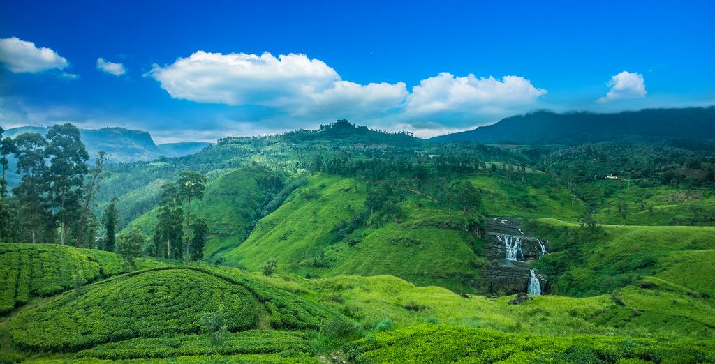 Discover Sri Lanka and its beautiful Buddha temples