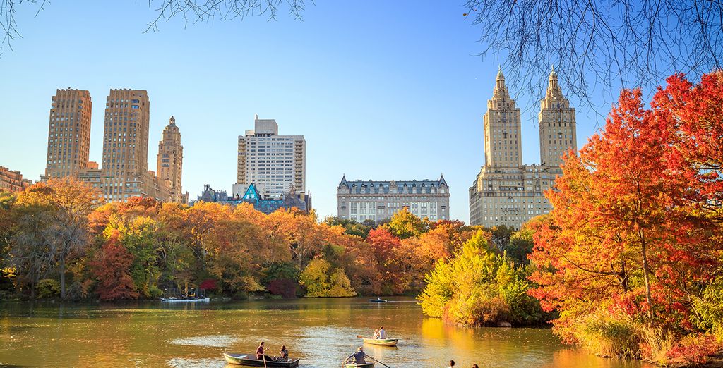 Radisson Hotel New York Times Square 3* New York Up to 70