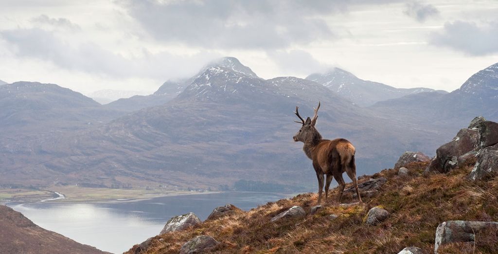 Highland Wildlife Park