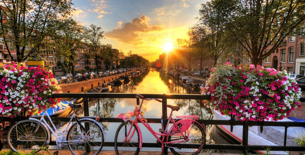 Last minute travel deals to Amsterdam