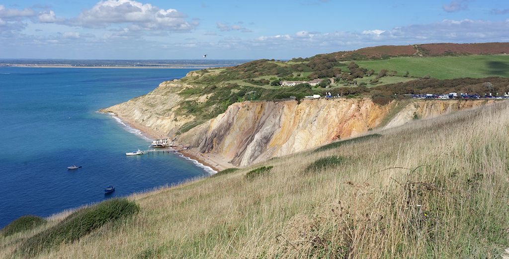 Luccombe Manor Country House Hotel 3*