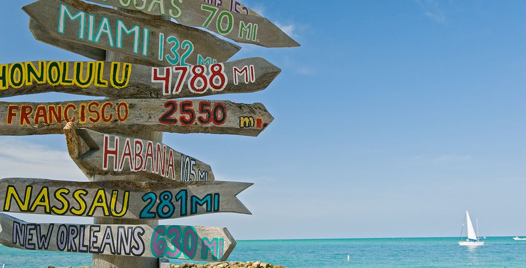 Florida Family Fly Drive