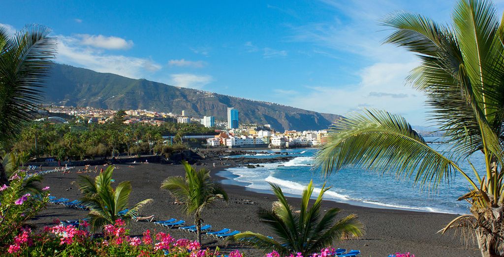 Holidays in the Canary Islands : Tenerife