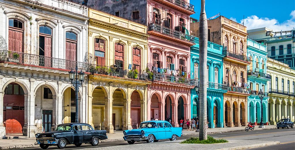 Enjoy Cuba and its culture