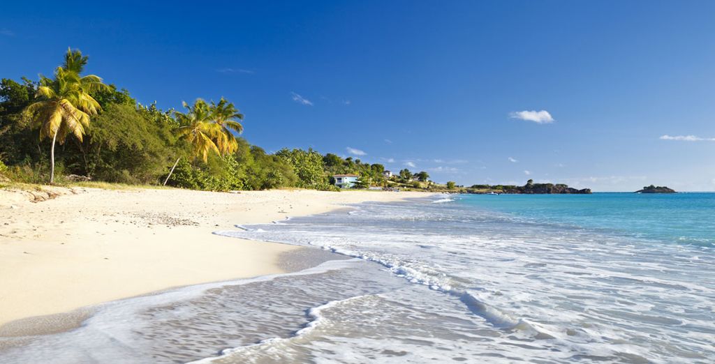 Antigua and Barbuda : Bank Holiday deals