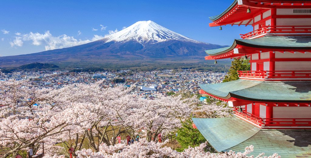 Perfumes of Japan Tour : book now