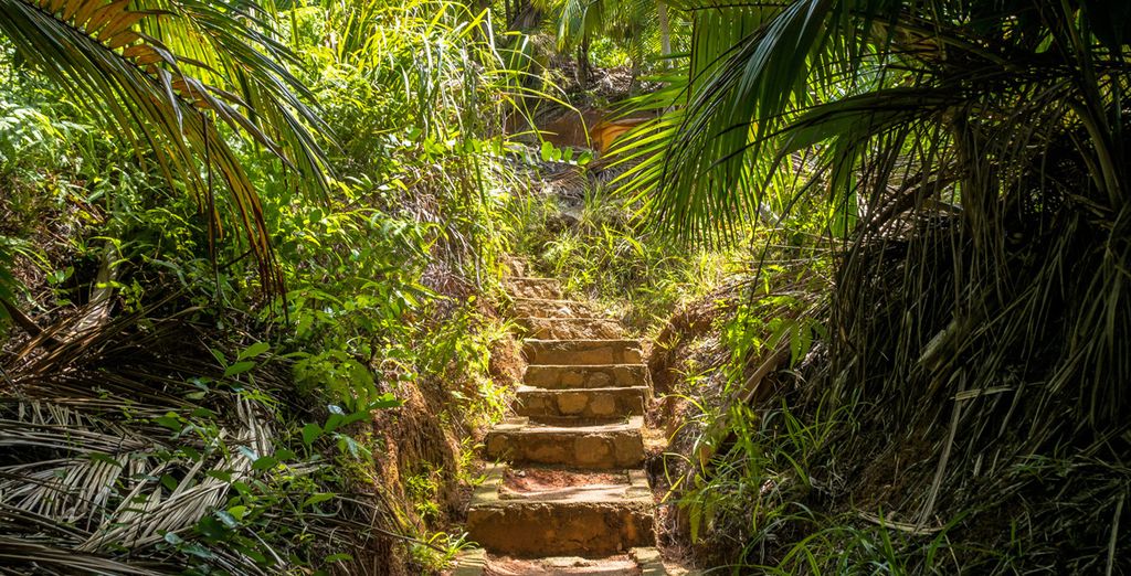 seychelles honeymoon