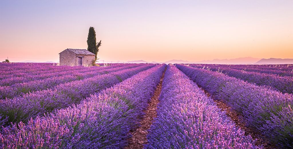 Self-Driven Tour of Provence