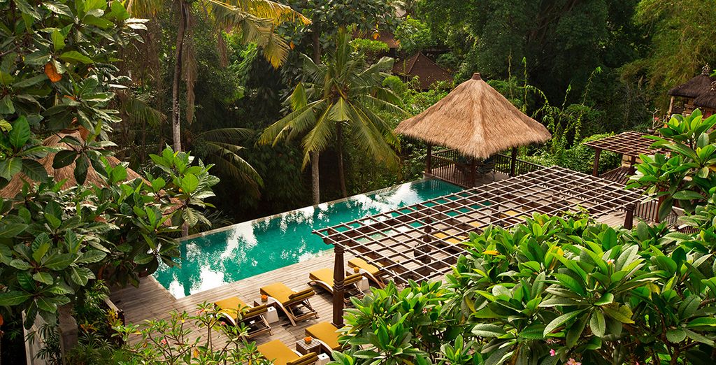 Reviews - Adiwana Resort Jembawan & Novotel Benoa 4* - Ubud | Voyage Privé