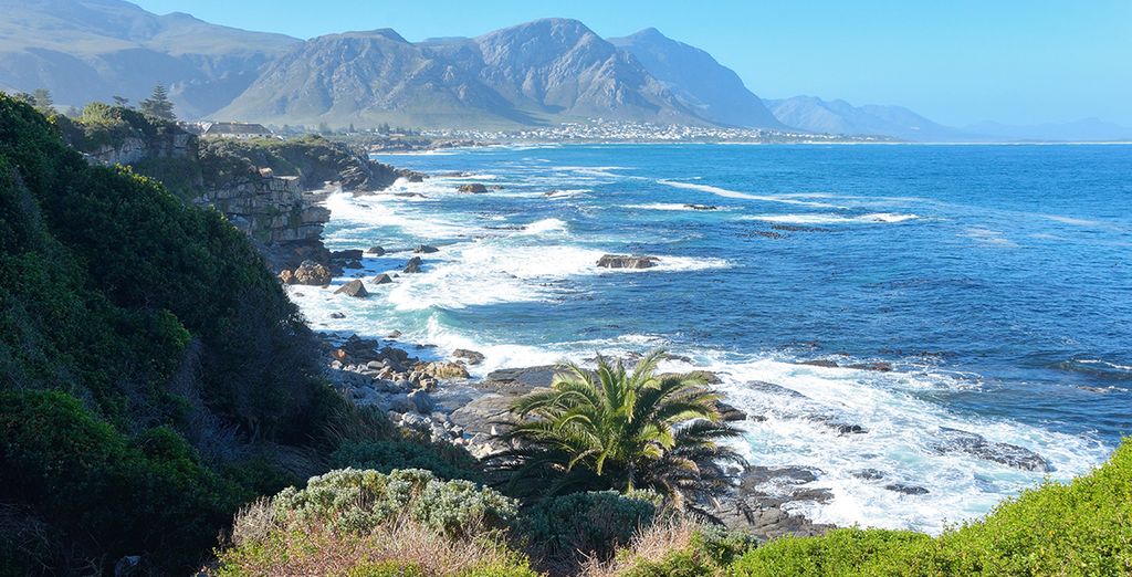 Scenic Cape Town & Garden Route