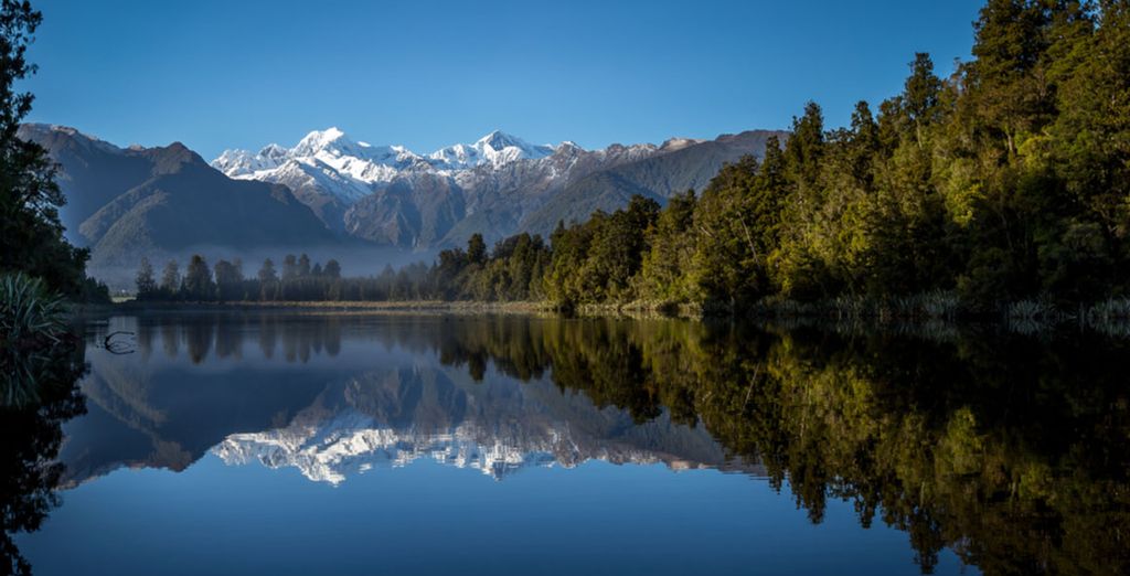 New Zealand wildlife and coastal scenery