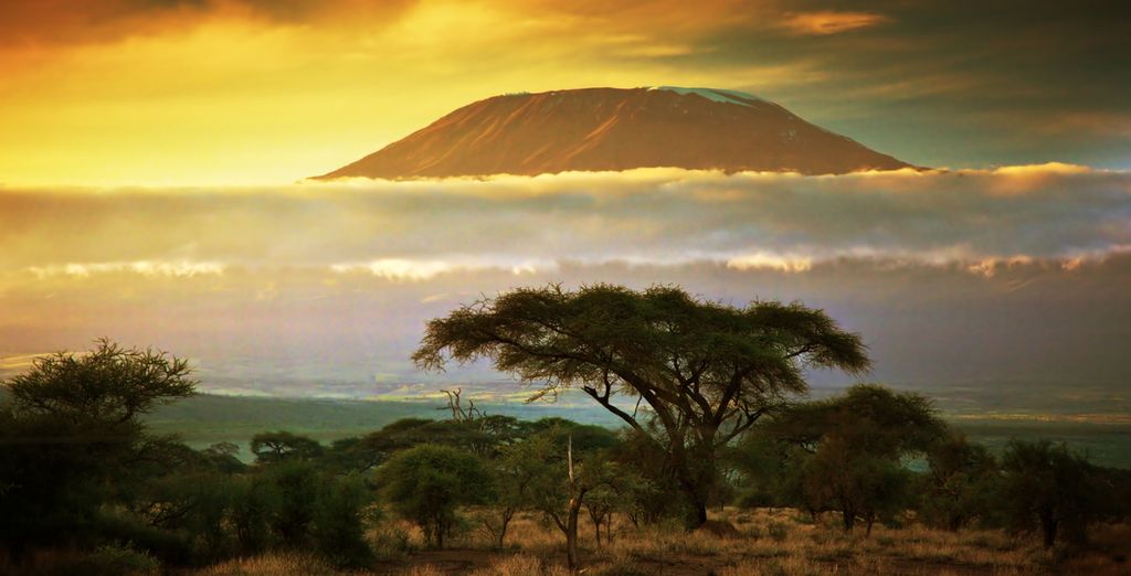 Kenya Safari and All Inclusive Beach Escape