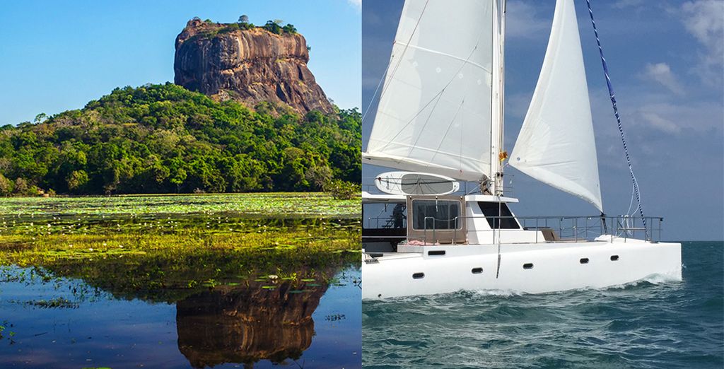 cruise ship tour packages from sri lanka
