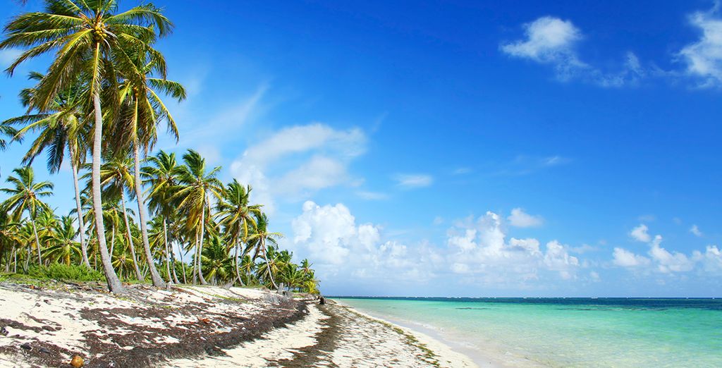 Cayman Island Holidays 2024 Great Deals Voyage Privé