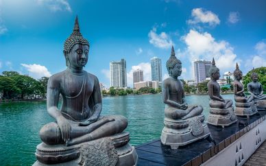 Sri Lanka in 8 oder 10 Nächten