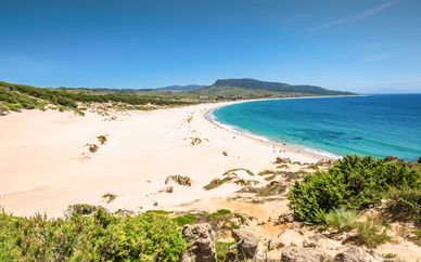 Alegría Costa Ballena 4*