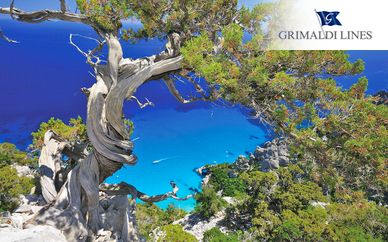 Arbatax Park Resort Telis 4*