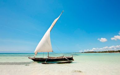 Neptune Paradise Beach Resort & Spa 4* y safari