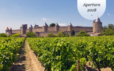DoubleTree by Hilton Carcassonne 5*
