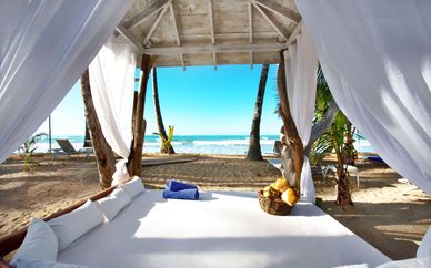 Viva Wyndham V Samana 5* - Solo Adultos