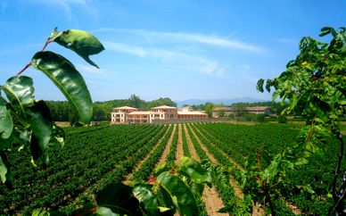 Château de Jouarres 4*