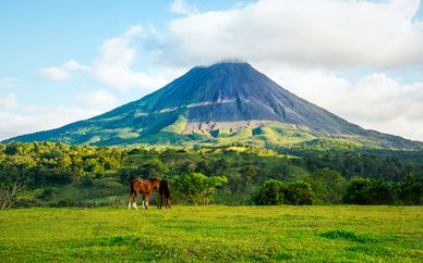 Autotour por Costa Rica con extensión a Planet Hollywood 5*