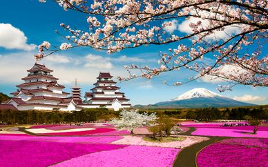 Séjour Parfums du Japon - 9,12 ou 15 nuits
