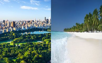Combiné Omni Berkshire Place 4* et Royalton Negril 5*