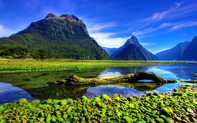 Autotour Découverte en Nouvelle Zélande avec Emirates