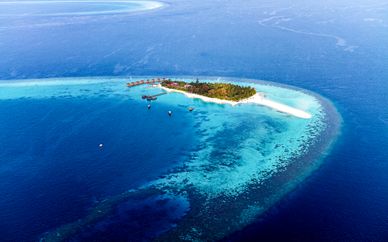 Hôtel VOI Maayafushi 4*