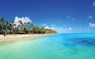 Hôtel Barcelo Bavaro Beach Resort 5* - Adults Only