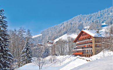 Hôtel Les Chalets du Prariand