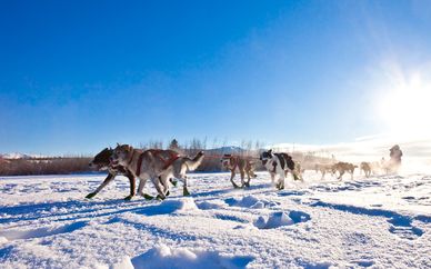 Circuit Découverte du Canada sous les flocons