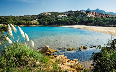 Le Palme Hotel & Resort 4*