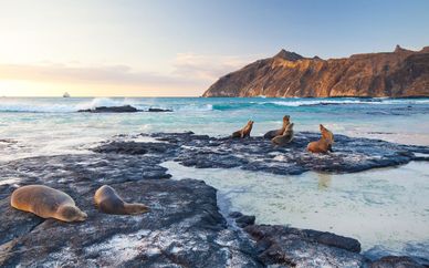 Circuit Découverte de l'Équateur et des Galapagos