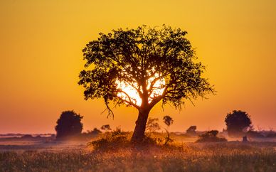 Circuit Botswana et Chutes Victoria en 11 jours et 8 nuits