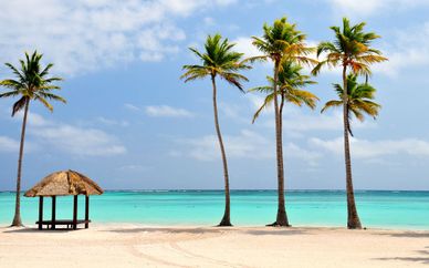 Senator Resort & Spa Puerto Plata 5*
