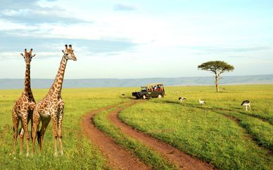 Tour tra il meglio del Kenya