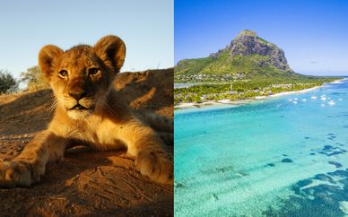 Circuito Big Five in Sudafrica & Radisson Blu Azuri Resort & Spa 4*S