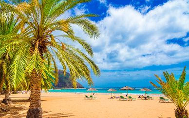 Tropical Park Hotel 4*