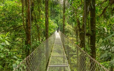 Nature Secrets of Costa Rica